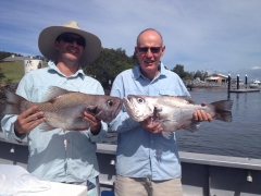 Pearl Perch fish and King fish fishing charter.jpg