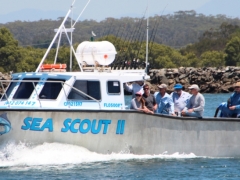Sea Scout II South West Rocks fishing charter company.jpg