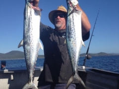 The Rocks Fishing Charters SEA SCOUT II SOUTH WEST ROCKS check it out.jpg