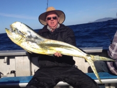 dolphin fish fishing charter package.jpg